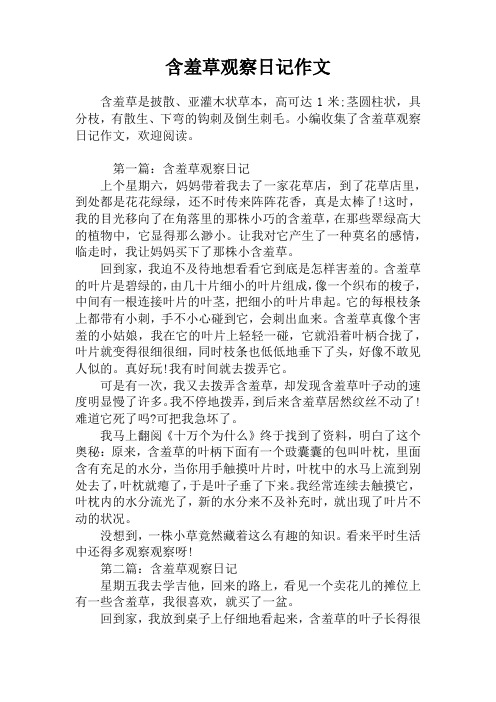 含羞草观察日记作文
