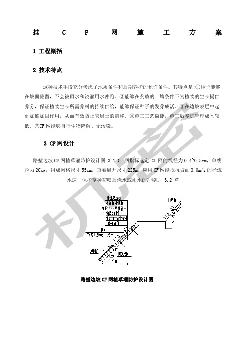 挂CF网护坡施工