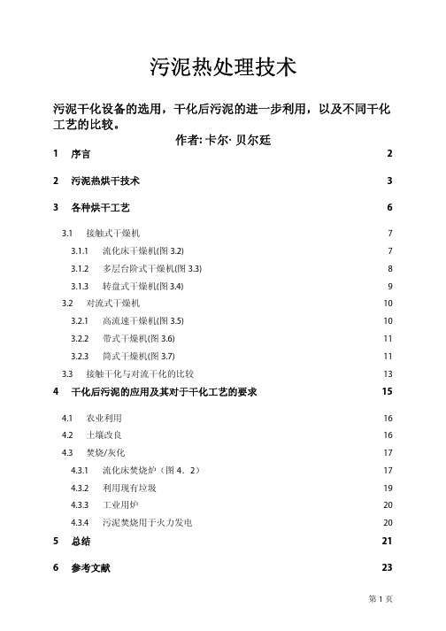 德国污泥干燥和焚烧技术