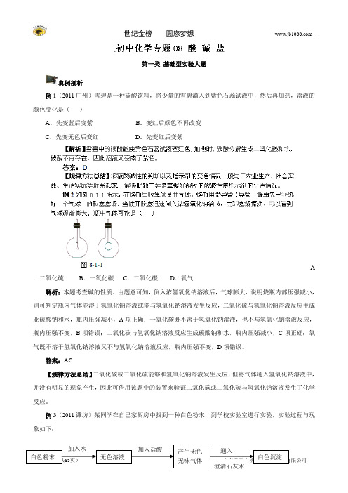 【复习必备】中考化学实验过关专题08 酸 碱 盐