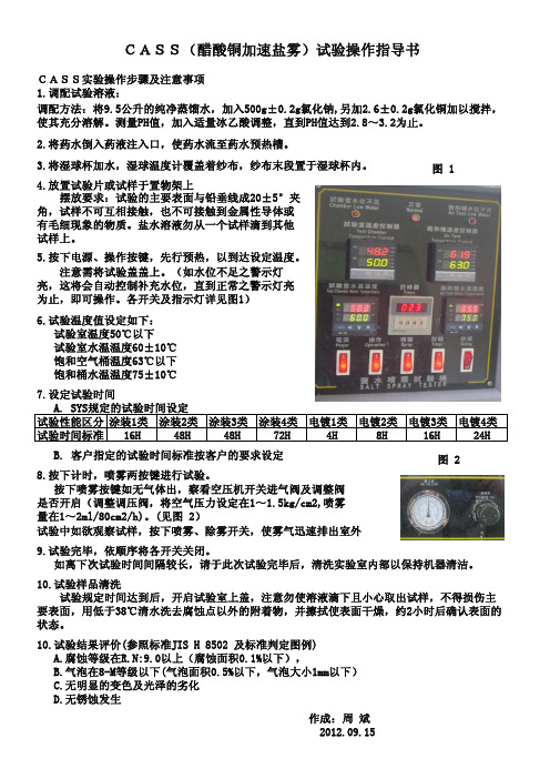 CASS试验作业指导书