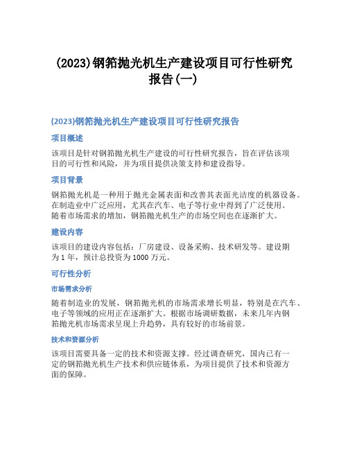 (2023)钢筘抛光机生产建设项目可行性研究报告(一)