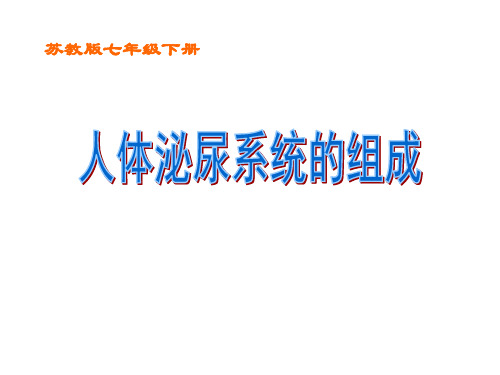 苏教版生物七下11.1《人体泌尿系统的组成》 教学课件(共21张PPT)