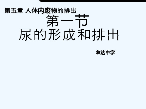 生物人教版七年级下册第一节 尿的形成和排出精品PPT课件