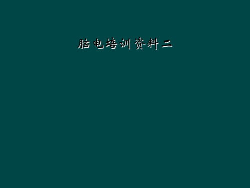 脑电培训资料二