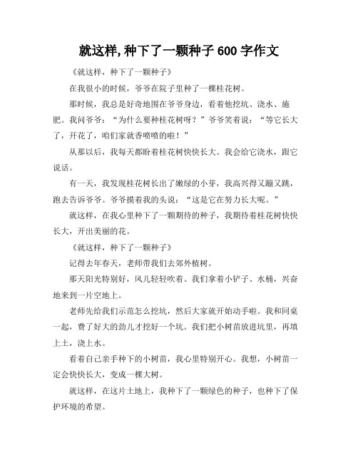 就这样,种下了一颗种子600字作文