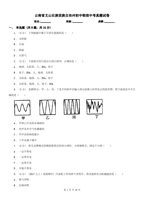 云南省文山壮族苗族自治州初中物理中考真题试卷