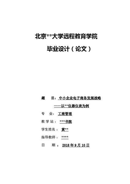 中小企业电子商务发展战略——以某某仪器仪表为例大论文