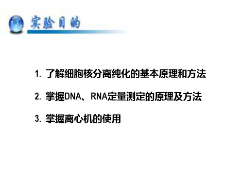 细胞核的分离与纯化及RNA、DNA的定量测定-1201共19页文档