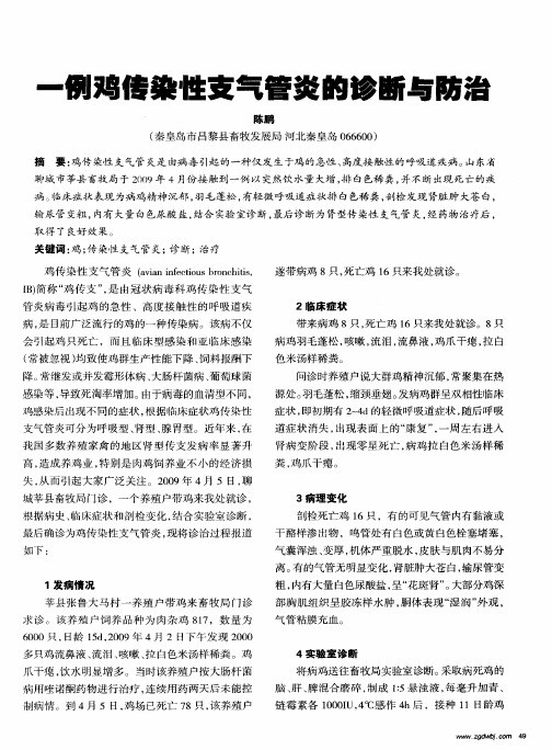 一例鸡传染性支气管炎的诊断与防治