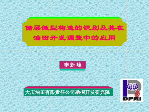 储层微构造.ppt