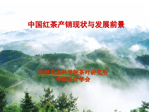 中国红茶产销现状与发展前景XXXX0622