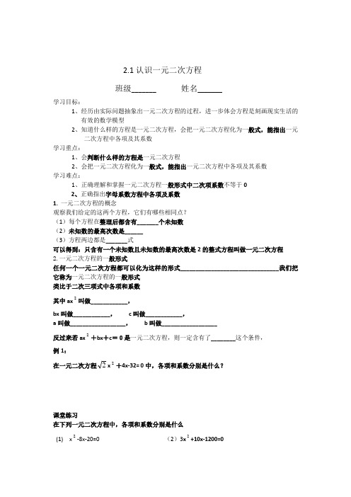 北师大版九年级数学上册 2.1.1一元二次方程的概念导学案