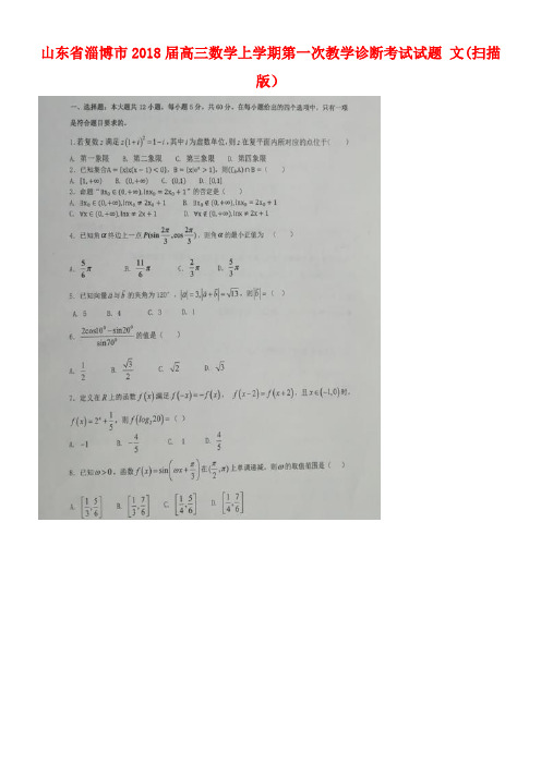 山东省淄博市高三数学上学期第一次教学诊断考试试题文(扫描版)(new)