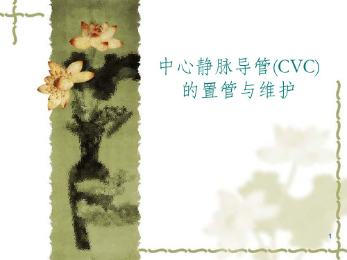 中心静脉导管(CVC)的置管与维护84117