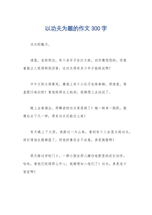 以功夫为题的作文300字