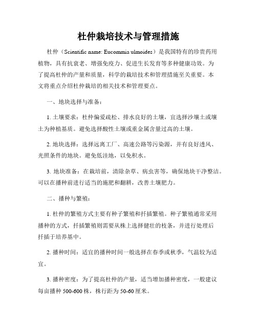 杜仲栽培技术与管理措施