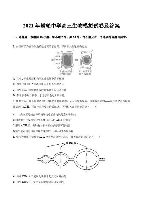 2021年辅轮中学高三生物模拟试卷及答案