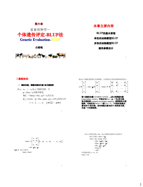 动物育种学6-BLUP