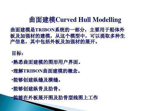 Tribon M3 Curved Hull Modelling(曲面建模)