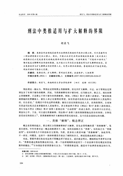 刑法中类推适用与扩大解释的界限