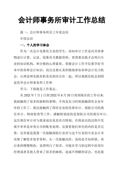 会计师事务所审计工作总结