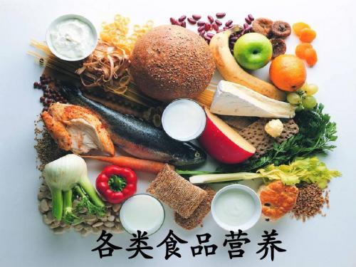 湘教版科学六上2.1《食物中的营养