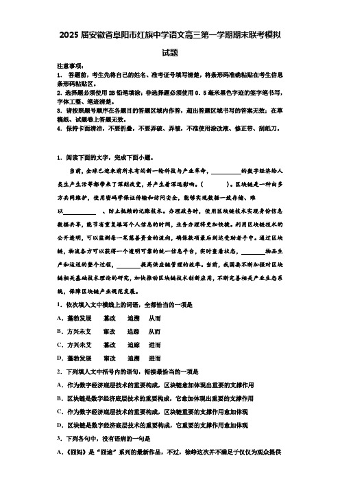 2025届安徽省阜阳市红旗中学语文高三第一学期期末联考模拟试题含解析