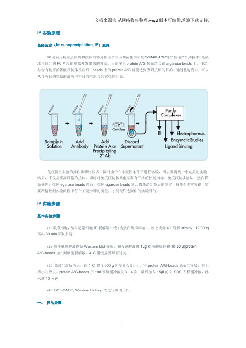 IP实验原理