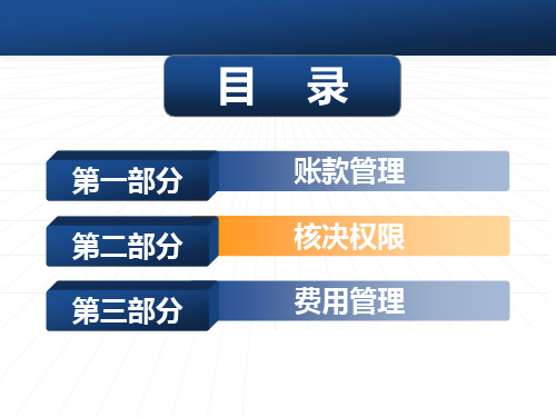 KA系统财务规范报告-账款管理,营销体系核决权限及费用冲销管理