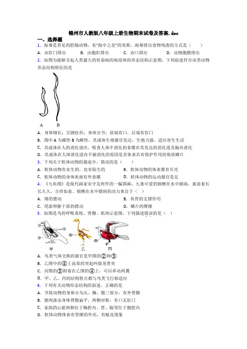 锦州市人教版八年级上册生物期末试卷及答案.doc