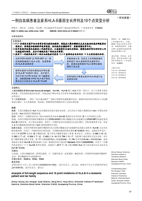 一例白血病患者及家系HLA-B基因全长序列及18个点突变分析