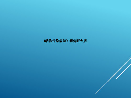 (动物传染病学)猪伪狂犬病