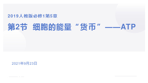 细胞的能量“货币”——ATP(说课课件)高一上学期生物人教版必修1