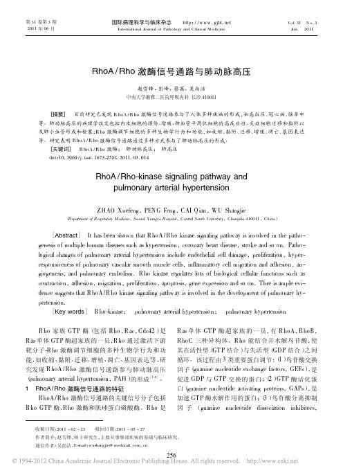 RhoARho激酶信号通路与肺动脉高压