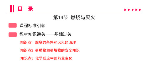 2023年化学中考总复习第一部分考点攻略第14节 燃烧与灭火