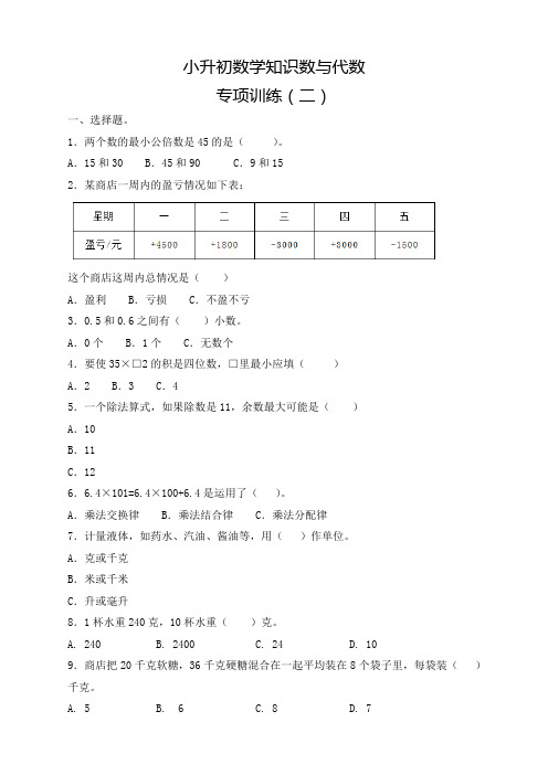 小升初毕业考试数学数与代数专项训练(二)测试题有答案