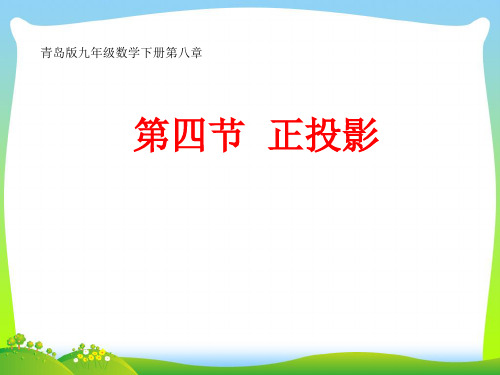 【最新】青岛版七年级数学下册第八章《正投影》公开课课件