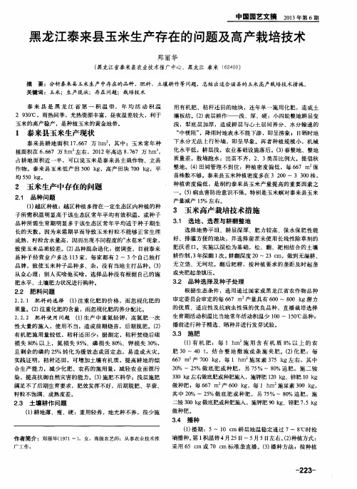 黑龙江泰来县玉米生产存在的问题及高产栽培技术