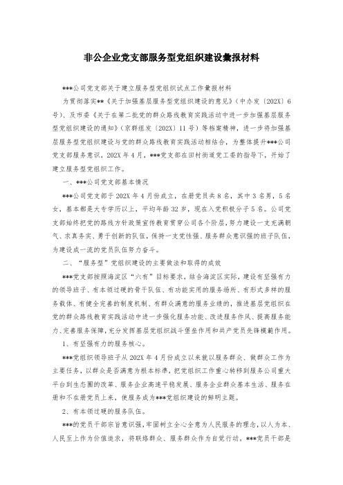 非公企业党支部服务型党组织建设汇报材料