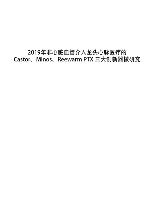 2019年非心脏血管介入龙头心脉医疗的Castor、Minos、Reewarm PTX 三大创新器械研究