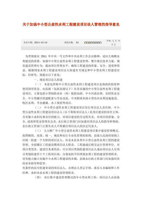 关于加强中小型公益性水利工程建设项目法人管理的指导意见