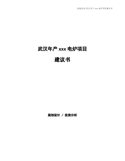 武汉年产xxx电炉项目建议书