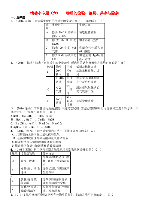 云南省中考化学复习 滚动小专题(六)物质的检验、鉴别、共存与除杂试题(2021-2022学年)