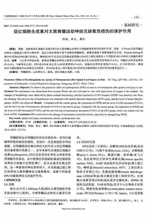 促红细胞生成素对大鼠脊髓运动神经元缺氧性损伤的保护作用