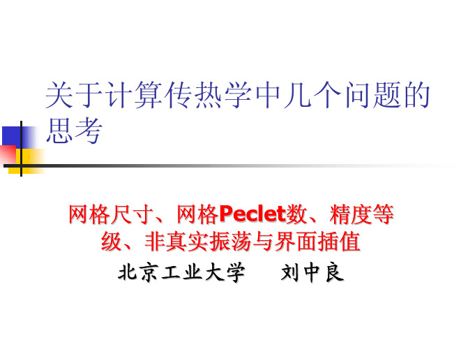 网格尺寸,网格peclet数,精度等级,非真实振荡与界面插值(刘中良)