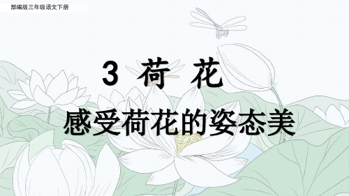 部编版三年级语文下册第3课《荷花》重点知识梳理(感受荷花的姿态美)