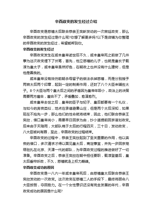 辛酉政变的发生经过介绍