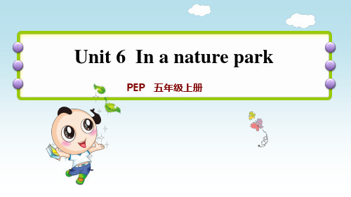 人教版五年级英语上册Unit6 第二课时 Let's learn