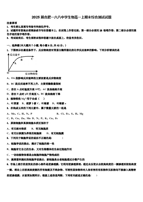 2025届合肥一六八中学生物高一上期末综合测试试题含解析